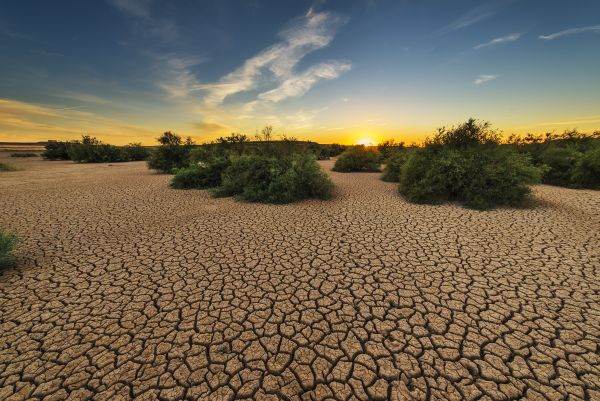 WWF consideră ambiguu Planul Naţional Integrat în domeniul Energiei şi Schimbărilor Climatice